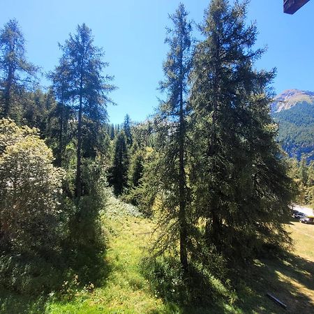 Le Lodge Des Marmottes - Calme, Cosy, Vue Nature Les Orres Eksteriør billede