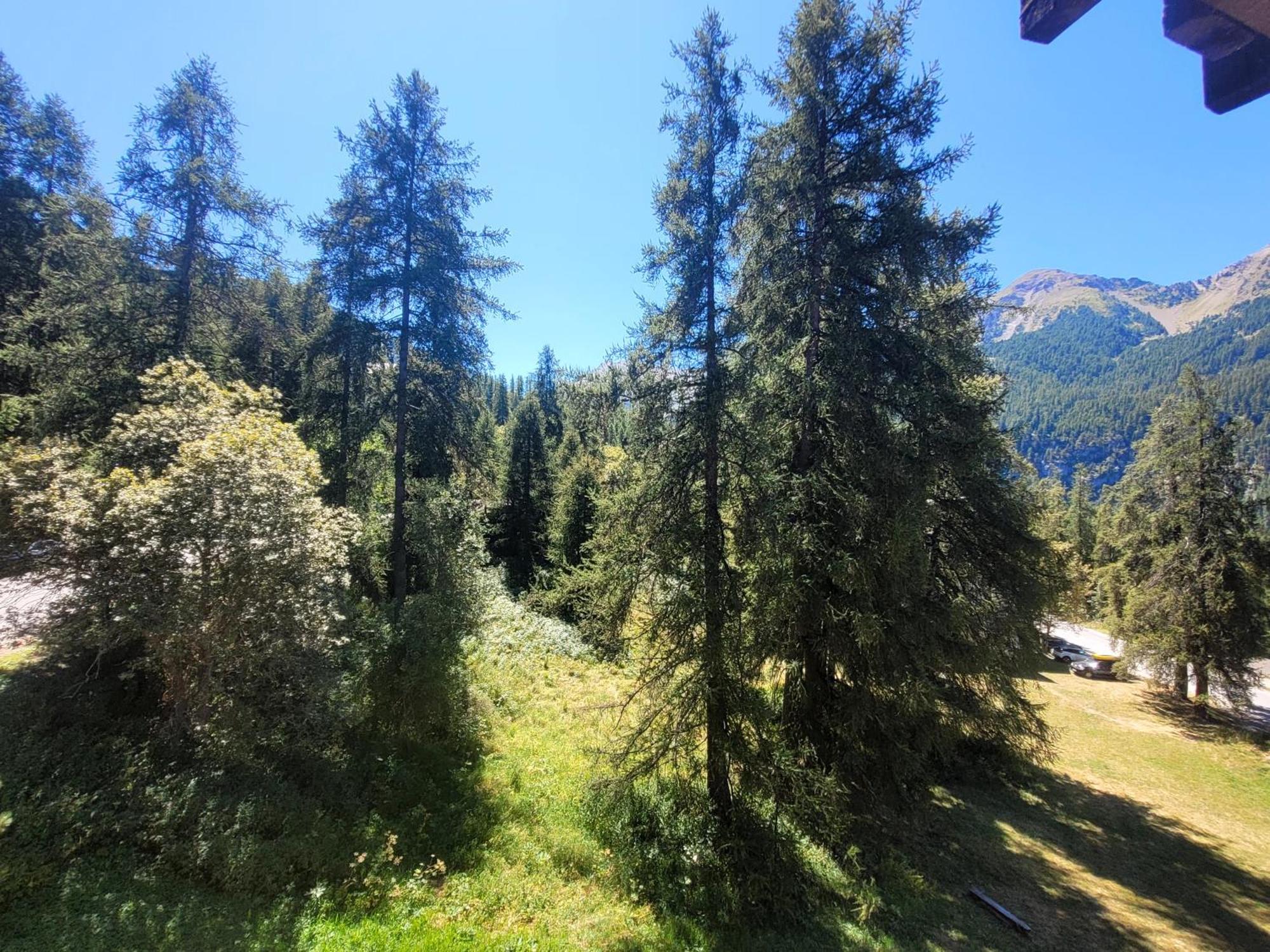 Le Lodge Des Marmottes - Calme, Cosy, Vue Nature Les Orres Eksteriør billede
